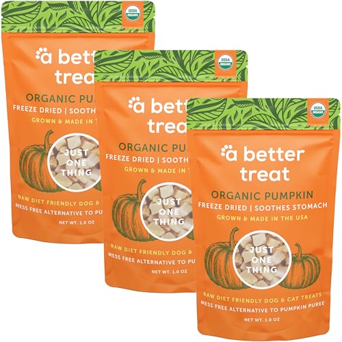 Freeze Dried Organic Pumpkin Dog and Cat Treats (1 Ounce (Pack of 3))