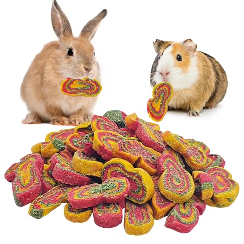 Rabbit Chew Toys