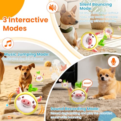 Bouncing Piggy Dog Toy (Upgraded Pig)