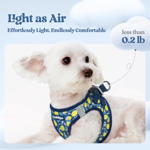 Dog Harness Medium Sized and Leash Set (Navy Lemon / M (chest: 16 - 18.5"))