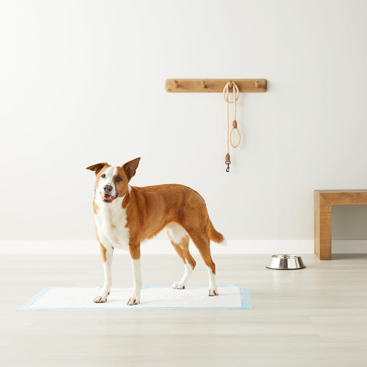 Leak Proof Dog and Puppy Potty Training Pee Pads with Quick (Giant / 40 Count)