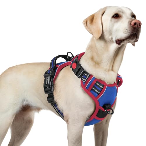 Dog Harness for Large (Blue & Red / Large)