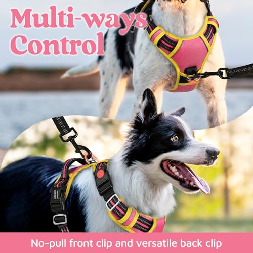 Dog Harness for Large (Pink & Yellow / Large)