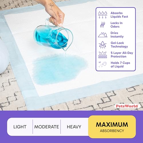 Mega Sized Dog Pee Pads (10 Count)