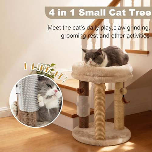 4in1 Small Cat Tree (For indoor cats and kittens / Beige)