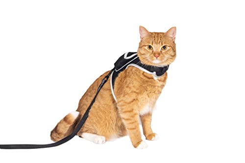 Travel Cat & Stray Cat Harness and Leash Set (SMALL: 9-11 IN)