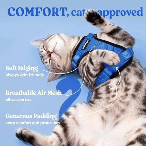 Cat Harness and Leash Set (M / Navy Blue)