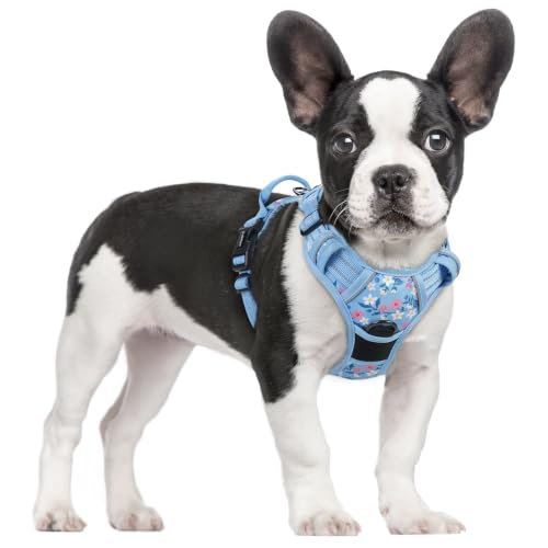 Dog Harness No Pull for Large Dogs with 2 Leash Clips (Small / Blue Floral)