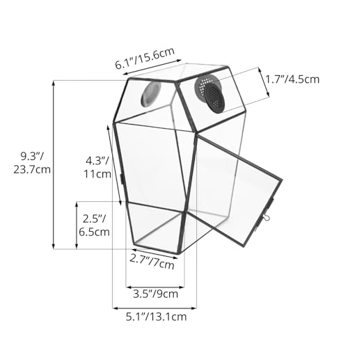 Gothic Glass Enclosure for Jumping Spider