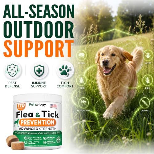 2 Pack) Flea and Tick Prevention for Dogs Pills - 340 Chews - Made in USA (Dark Brown / 340 Chews)