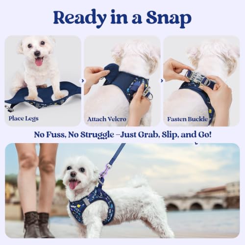 Dog Harness Small Sized and Leash Set (Navy Space Pups / Xs (chest: 13.3 - 15.5"))