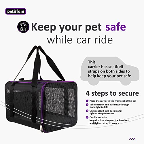 Soft Pet Carrier for Large and Medium Cats (Black)
