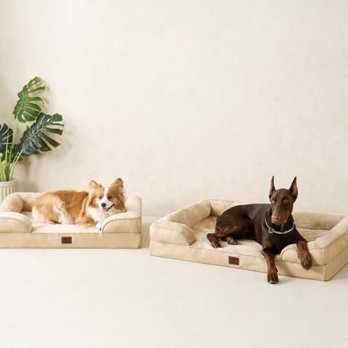 Orthopedic Small Dog Bed (Graige / 24.0"l X 18.0"w X 6.0"th)