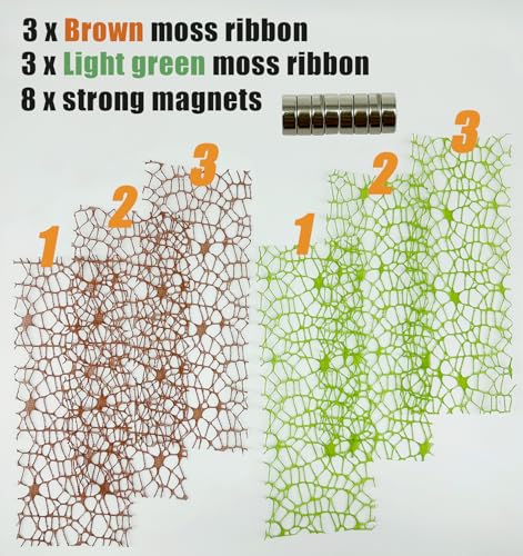 6 PCS Jumping Spider Habitat Accessories