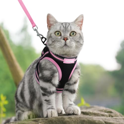Cat Harness and Leash Set (XL / Black & Pink)