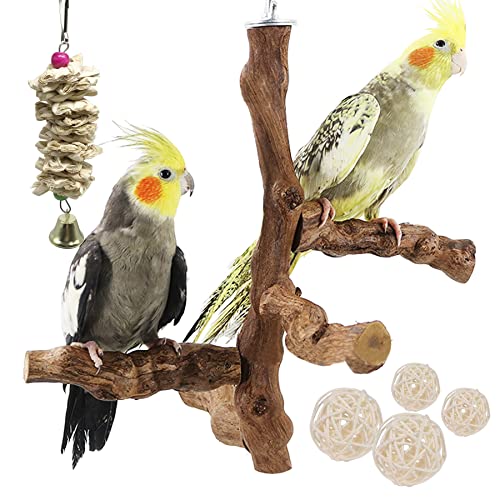 6 PCS Bird Perch Stand Natural Grapevine with Chewing Toys for Parrots (Style 8)