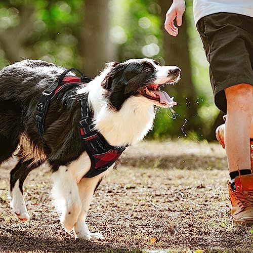Dog Harness No Pull for Small Dogs with 2 Leash Clips (Small / Red Plaid)