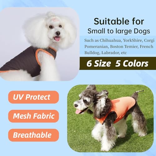 2 Pack Cooling Shirts for Dogs (XL(chest:15.5-18.5") / Black&Orange)