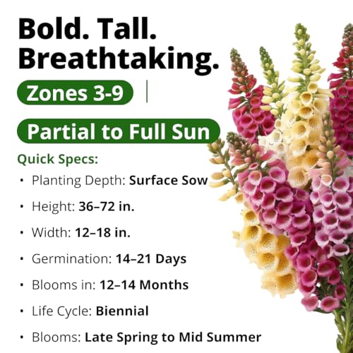 Foxglove Excelsior Mix 8000 Flower Seeds Digitalis purpurea
