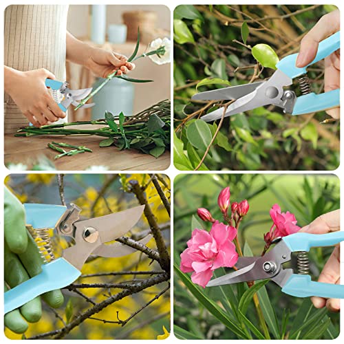 Premium 2PCS Pruners (Blue)