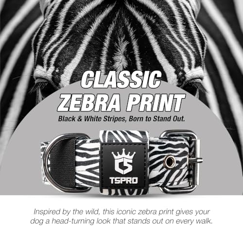 Heavy Duty Thick Dog Collar with Metal Buckle for Medium Dogs (M – Fits Neck 15.8"-18.9" / Classic Zebra Print)