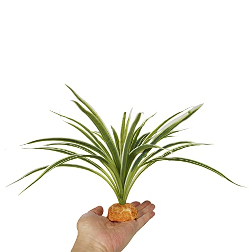 Artificial Spider Plants Reptile Terrarium Decor Tank Accessories (B-artificial Spider Plants)