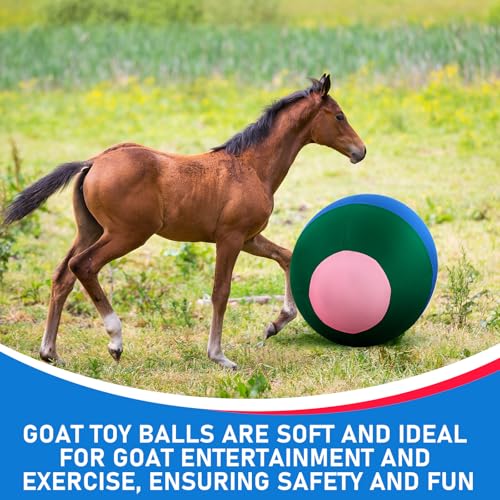 Giant 40 Inch Herding Balls with Ball Cover (Mixed Color / 40 Inch / Classic)