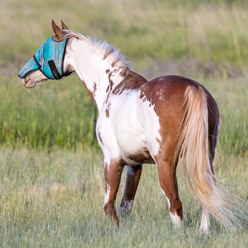 Kensington Fly Mask w (L (Average Horse))