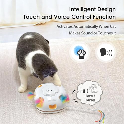 Cat Toys for Indoor Cats