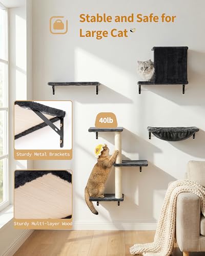 Heavy Duty Cat Wall Shelves for Large Cats
