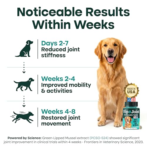 Joint Supplement for Dogs (50 Count)