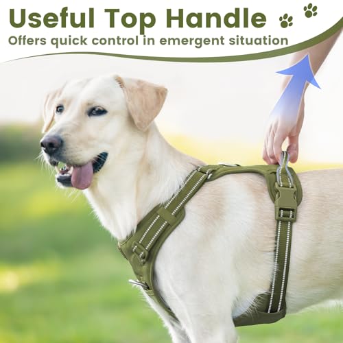 No Pull Dog Harness Front Clip Handle (Misty Green / M(Neck:18.5-25.6",Chest:20.9-30.7"))