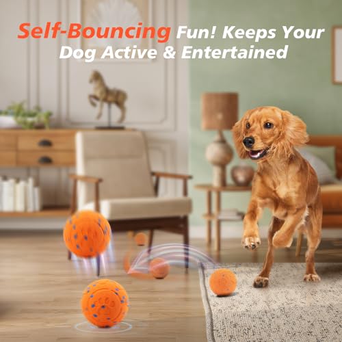 Interactive Dog Ball Toy