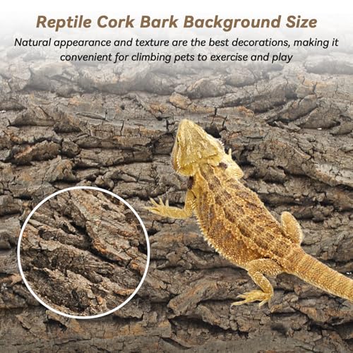 Cork Terrarium Background for Reptile (【4 PCS】)