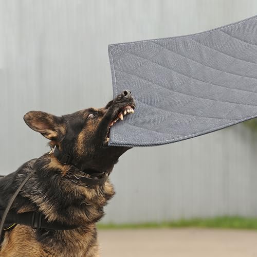 Indestructible Dog Beds (Grey / X-Large (28" x 47"))
