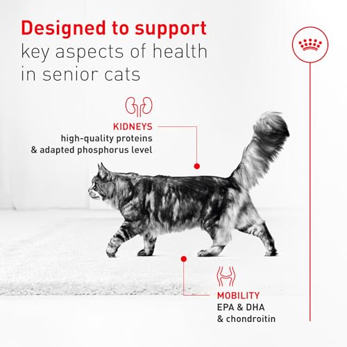 Feline Health Nutrition Aging 11+ Wet Cat Food for Seniors (3 Ounce (Pack of 6) / Aging 11+)