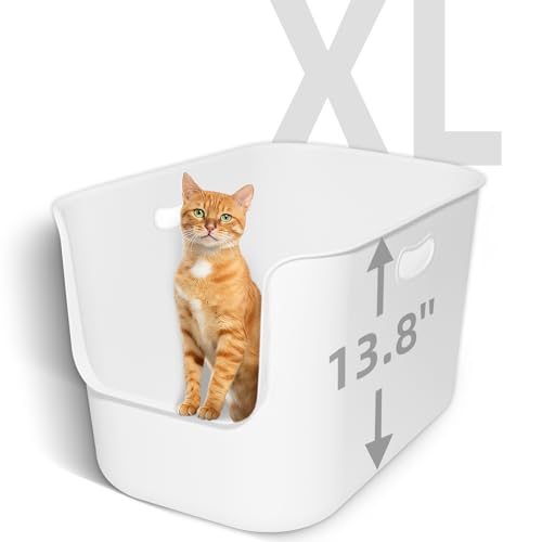 Extra Large High Sided Litter Box (High side)