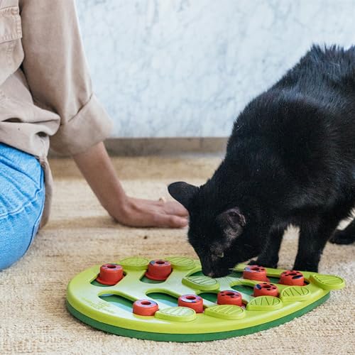 Nina Ottosson Buggin’ Out Puzzle & Play Cat Toy Treat Puzzle (Green / Treat Puzzle)