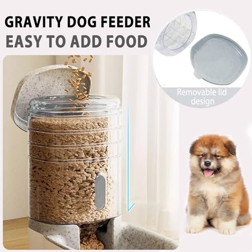 Automatic Replenish Dog Food Dispenser Station (Grey)