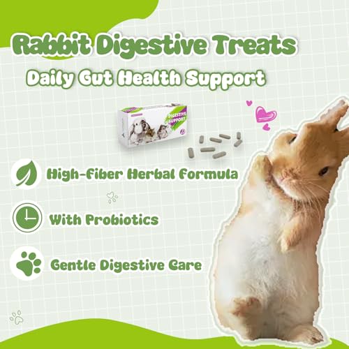 Rabbit Digestive Treats