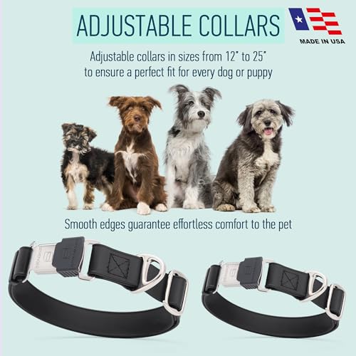 Biothane Waterproof Dog Collar with Herm Sprenger Black Stainless Steel Quick Release Buckle (W 1" x L 15"-25" / Black)
