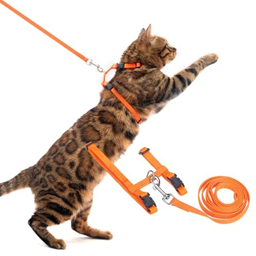Adjustable Cat Harness and Leash Set Escape Proof Kitten Strap Collar for Walking Travel (Medium / Orange)