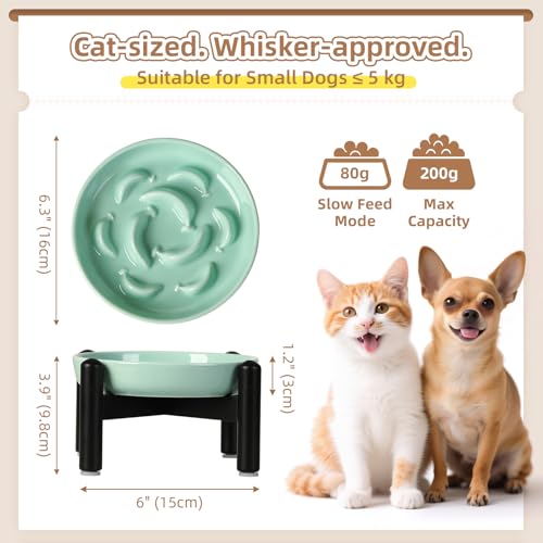 Elevated Ceramic Slow Feeder Cat Bowl (Green Raised (Metal) / 3.9"H Raised (Metal))