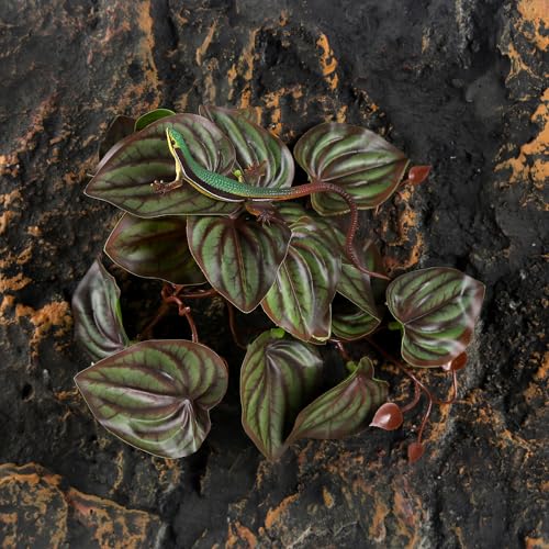 Fake Reptile Plants for Reptile Terrarium Plants