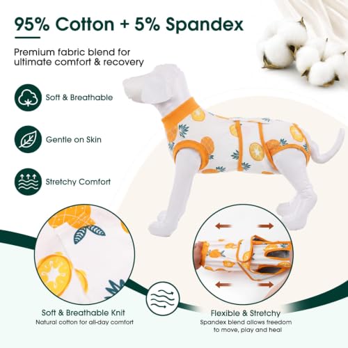 Recovery Suit for Dogs Cats (S (Back:11.4-13.4'', Weight:7-15 Lb) / Pineapple Citrus)