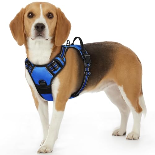 Dog Harness for Small Dogs (Small / Blue)