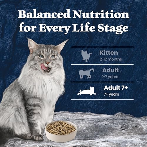 Wilderness Salmon Adult 7+ Dry Cat Food (5 Pound (Pack of 1))