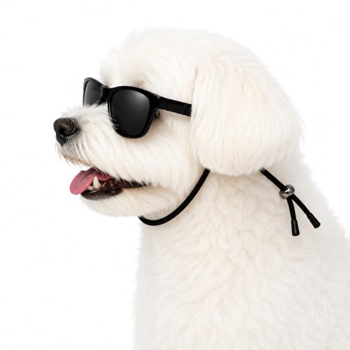 G029 Dog Pet Aviator Pilot Costume Sunglasses Small Breed (Small, up to 15 lbs, 2-pk Aviator Black+ 80s BLK)