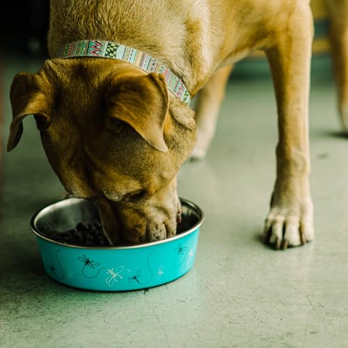Bella Dog Bowls (Dragonfly / Small (10-20lbs))