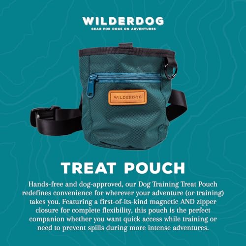Dog Training Treat Pouch with Magnetic and Zipper Closure (Green)
